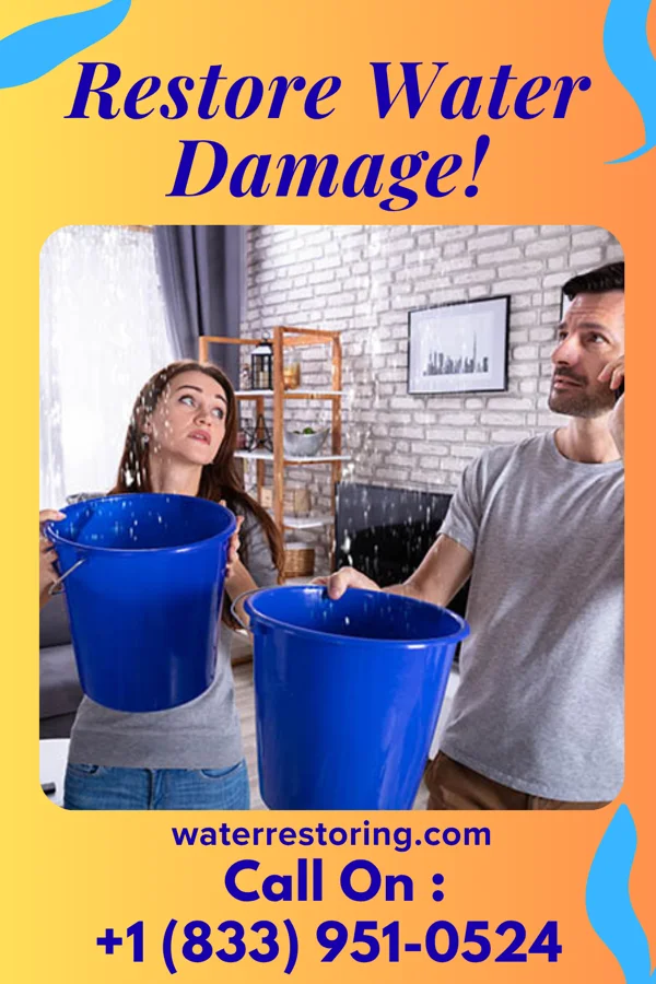 water restoration Western Mitigation Fairfax