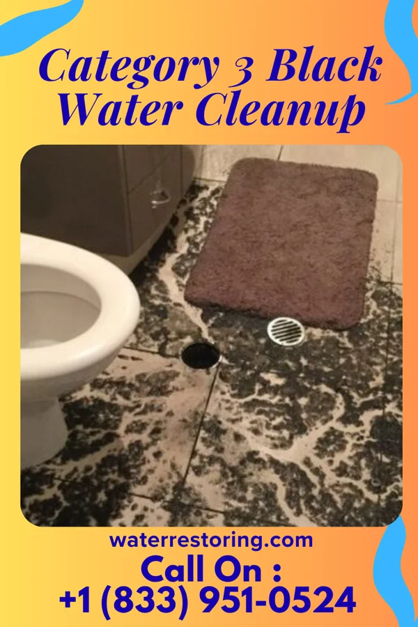 Category 3 Black Water Cleanup in Fairfax, OH