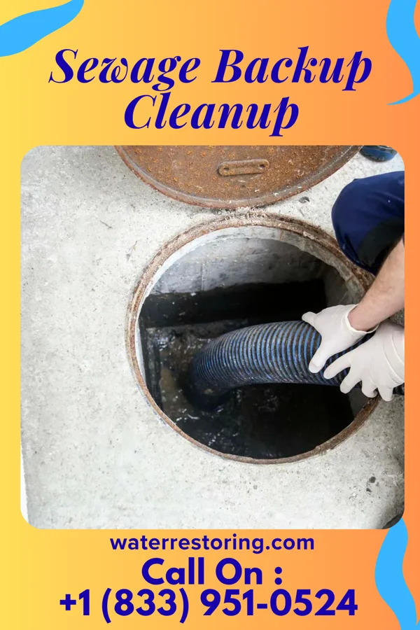 Sewage Backup Cleanup in Fairfax, OH