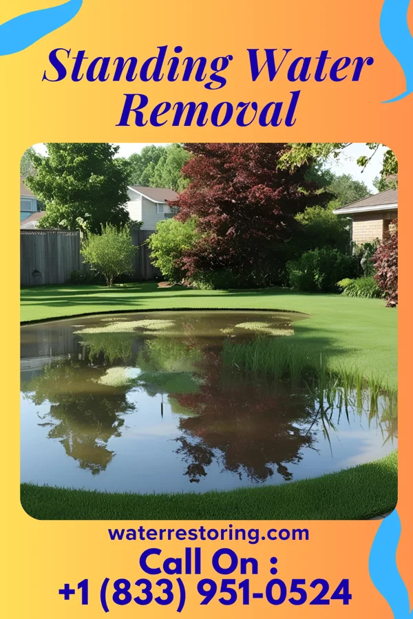 Standing Water Removal in Fairfax, OH